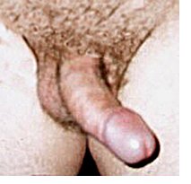 mastrubation curved penis